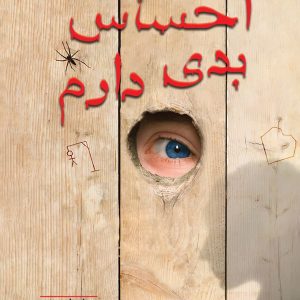 احساس بدی دارم